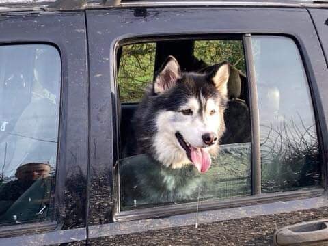 82792106_1044061145954096_384018635162648576_n