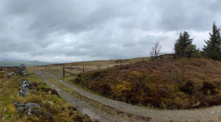 185993906_124992502945140_7214988134721638912_n