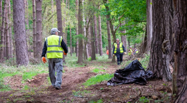 Green Laning is Better
