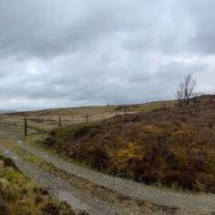 185993906_124992502945140_7214988134721638912_n