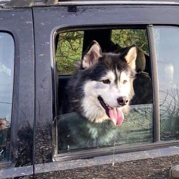 82792106_1044061145954096_384018635162648576_n